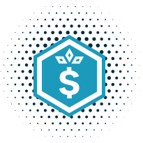 Build Skills. Earn. Grow.