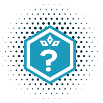 What is WX Force?